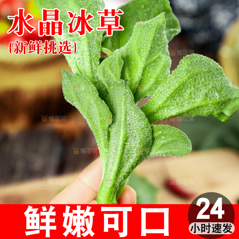 深底上的冰草
