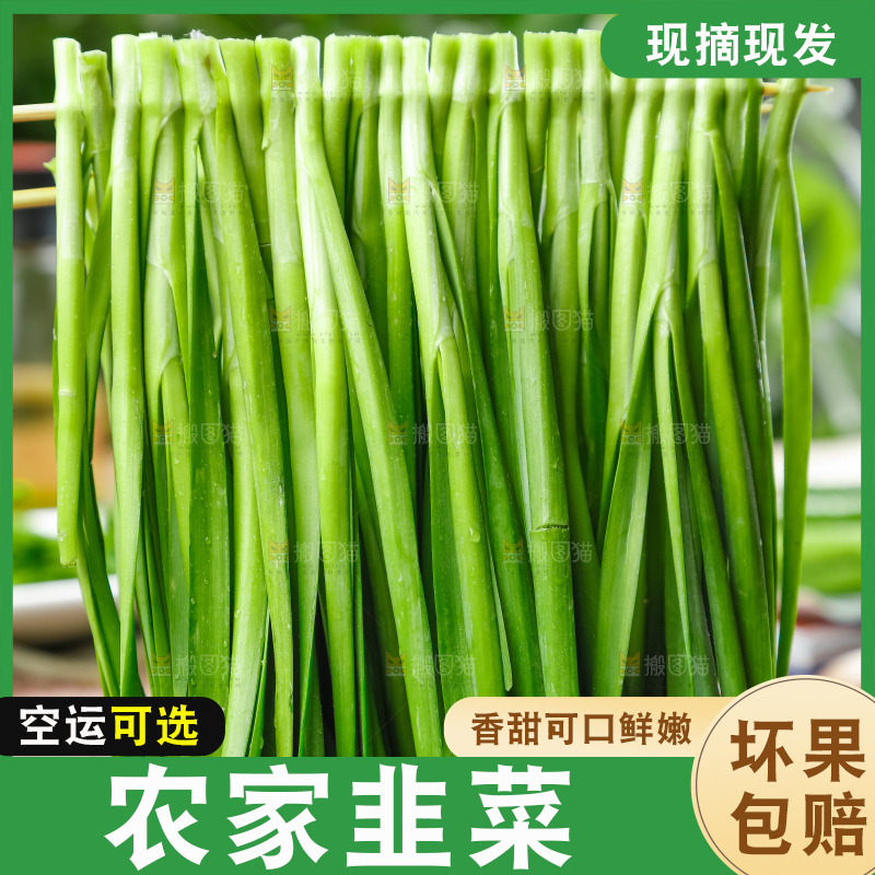 深底上的新鲜韭菜