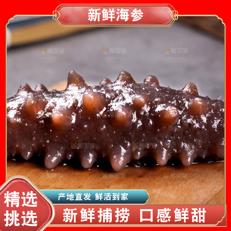 深底上的海参