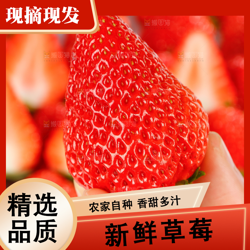 草莓主图