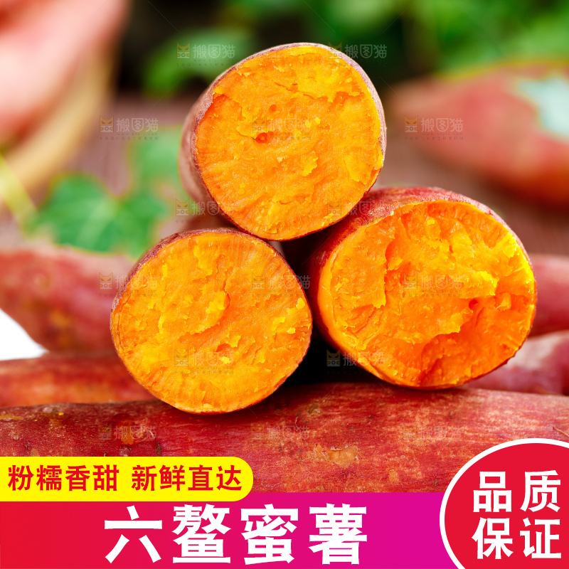 深底上的六鳌蜜薯