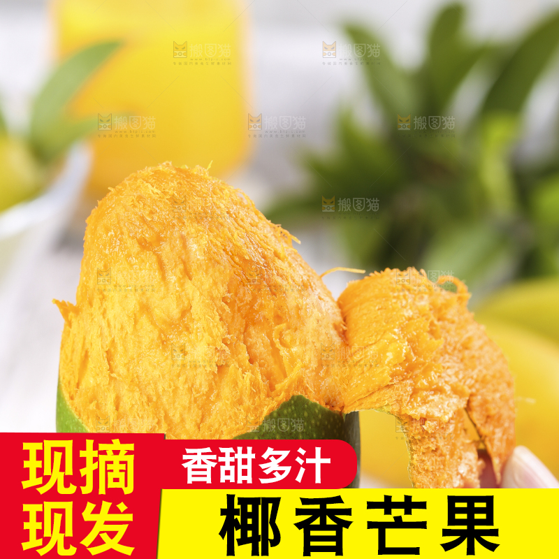 深底上的椰香芒
