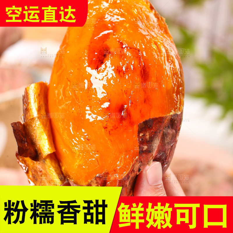 浅底上的六鳌蜜薯