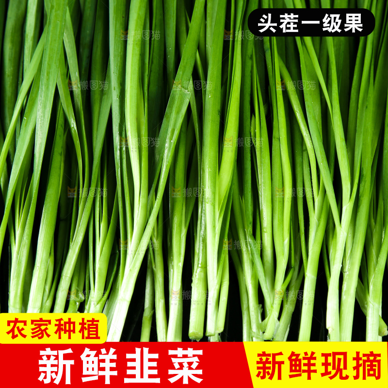 深底上的新鲜韭菜
