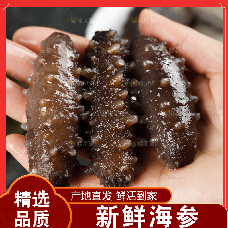 深底上的海参
