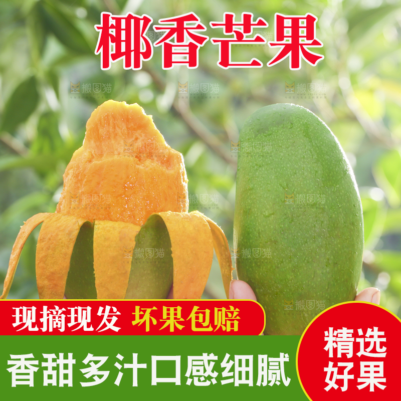 深底上的椰香芒