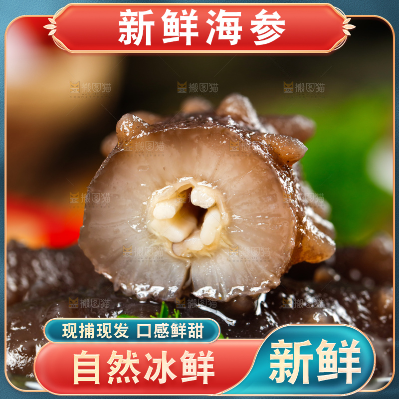 深底上的海参