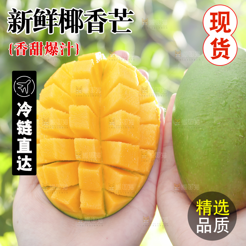 深底上的椰香芒