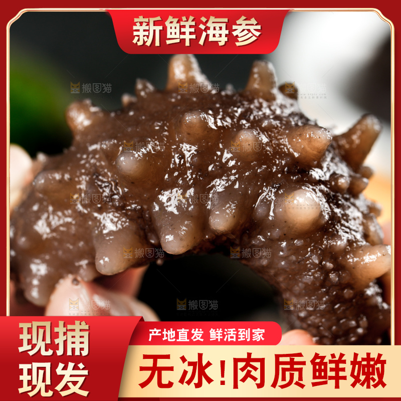 深底上的海参