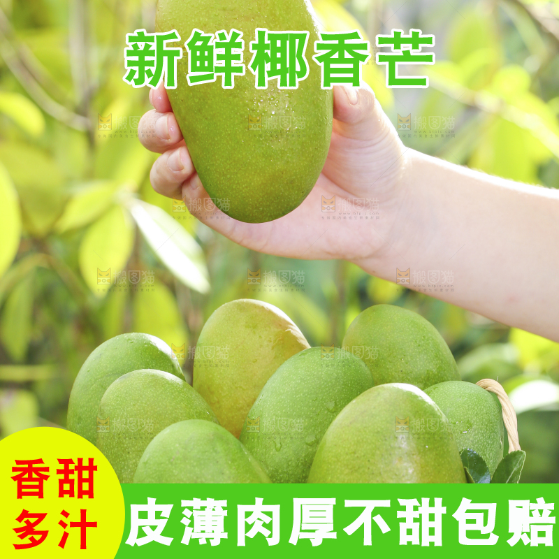 深底上的椰香芒