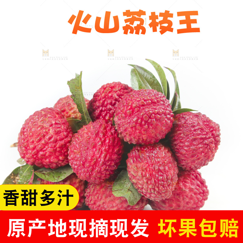 白底上的荔枝王