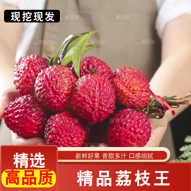 深底上的荔枝王