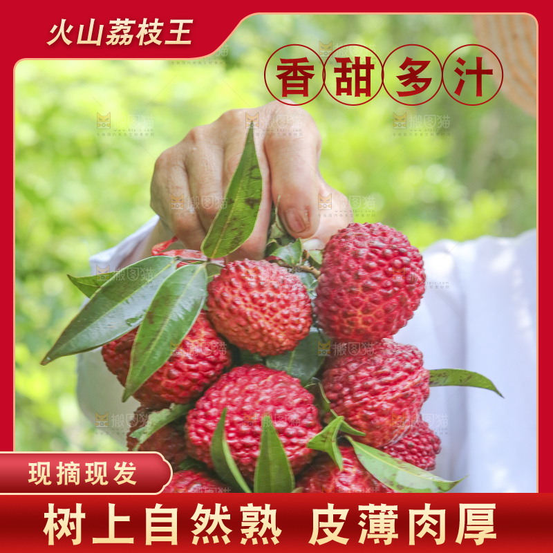 手里拿着荔枝王