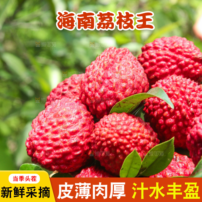 手里拿着荔枝王