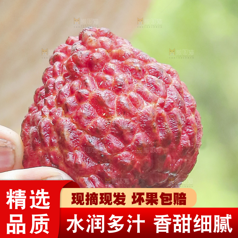 手里拿着荔枝王
