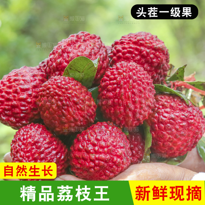 手里拿着荔枝王