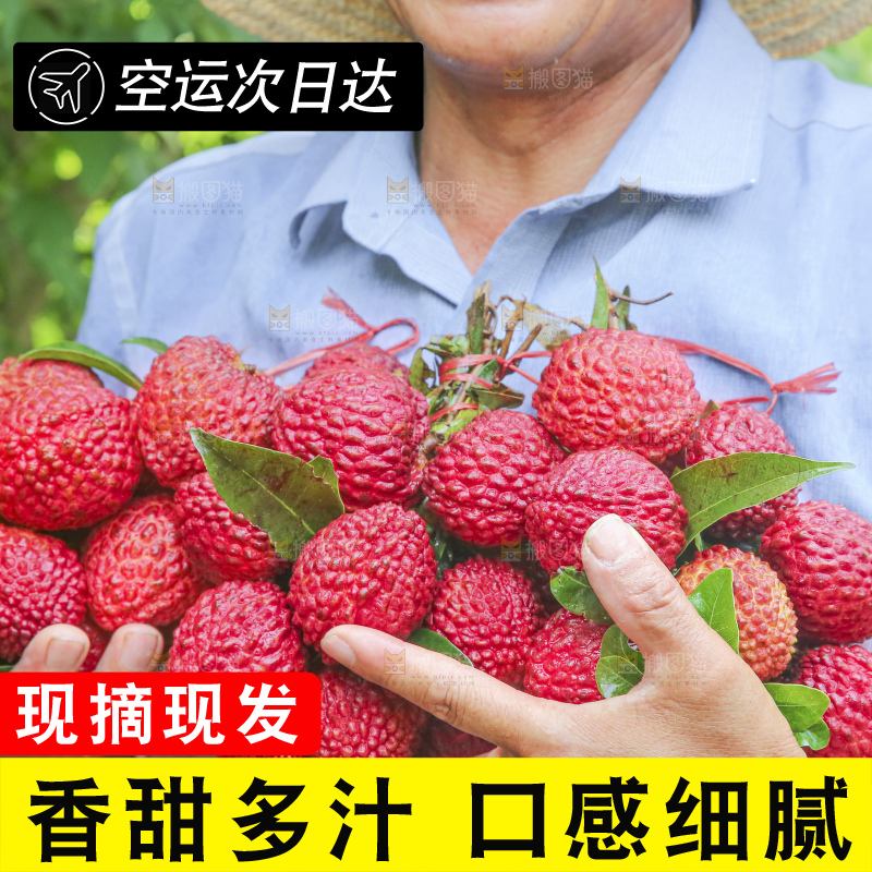 手里拿着荔枝王