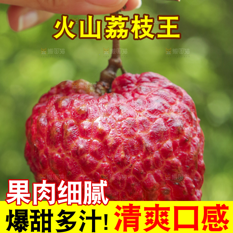 手里拿着荔枝王