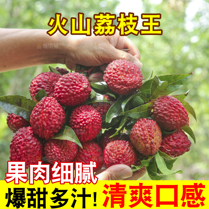 手里拿着荔枝王