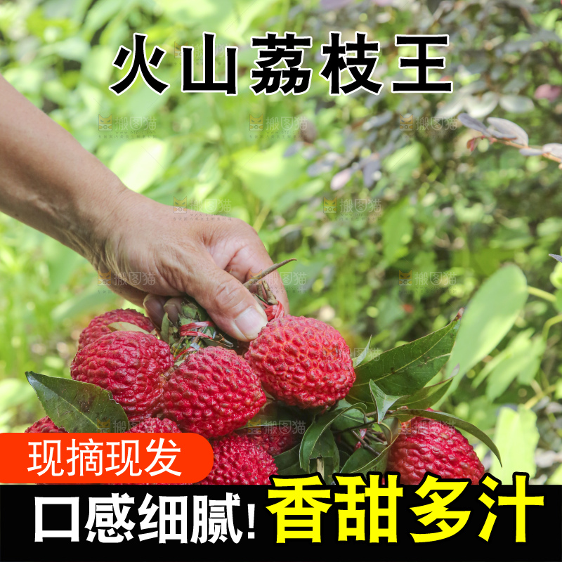 手里拿着荔枝王