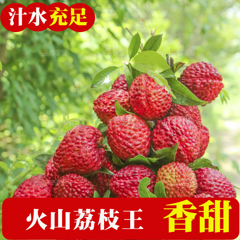 手里拿着荔枝王
