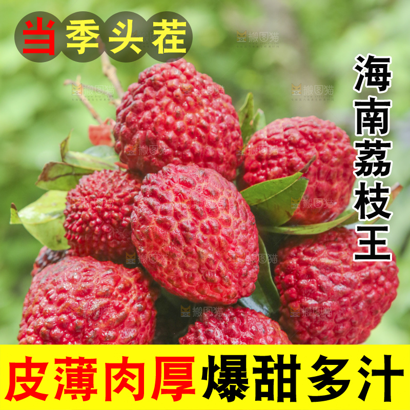 手里拿着荔枝王