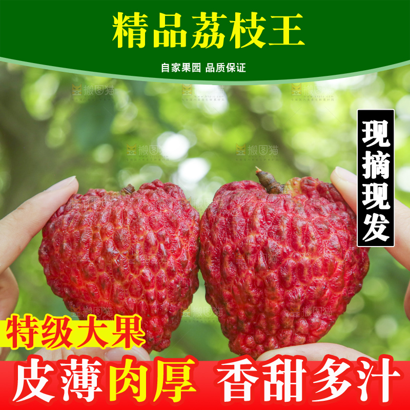 手里拿着荔枝王