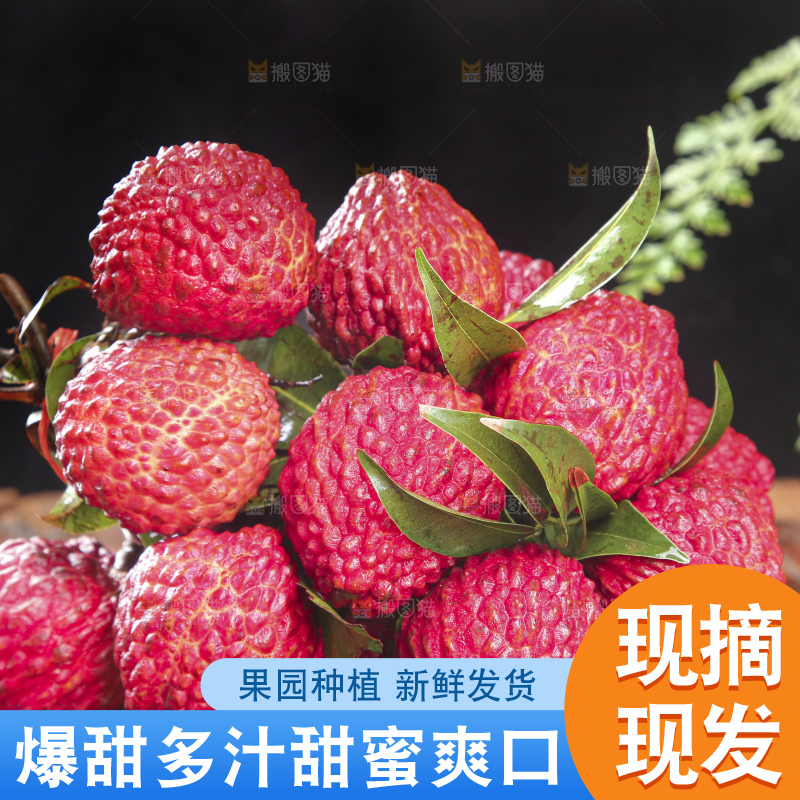 深底上的荔枝王