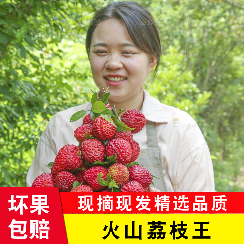 手里拿着荔枝王