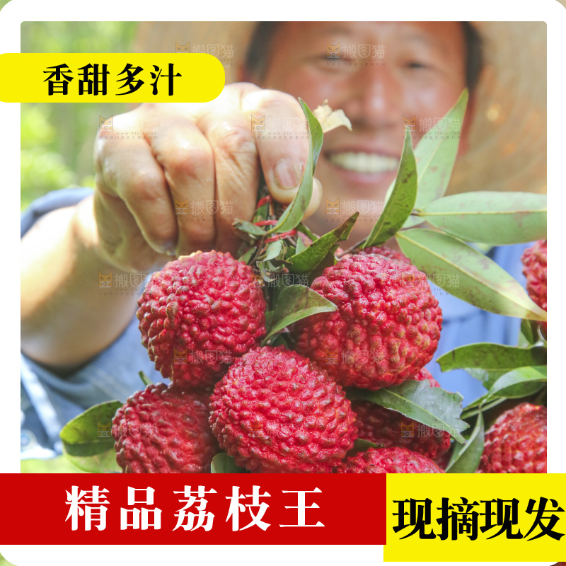 手里拿着荔枝王