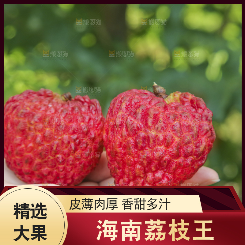 手里拿着荔枝王