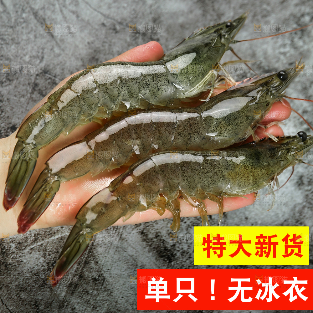 大青虾主图