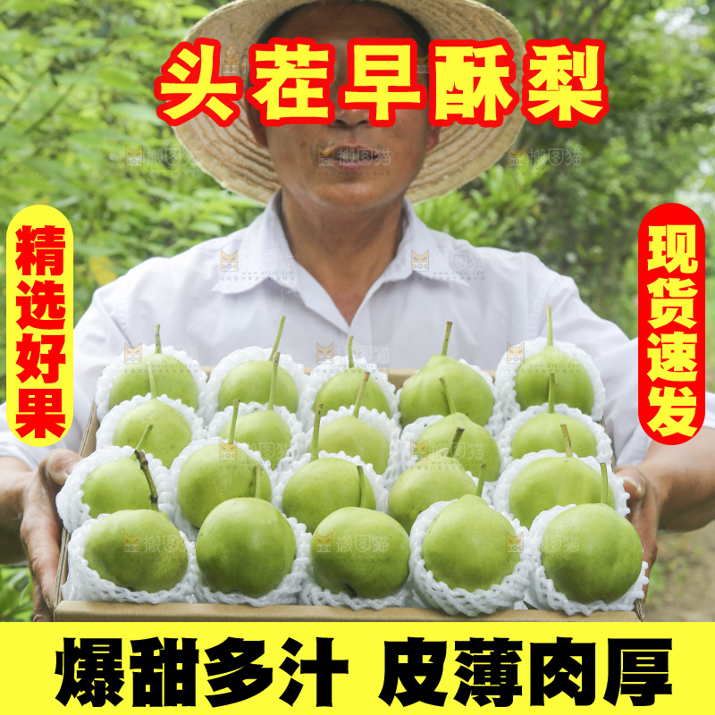 手里拿着早酥梨