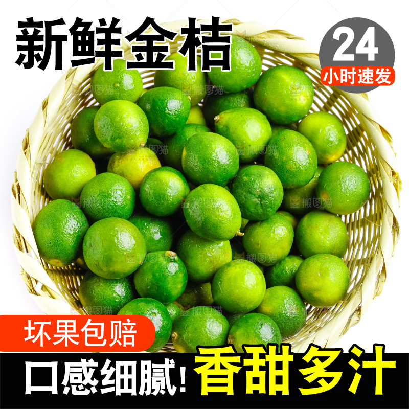 浅底上的小青桔