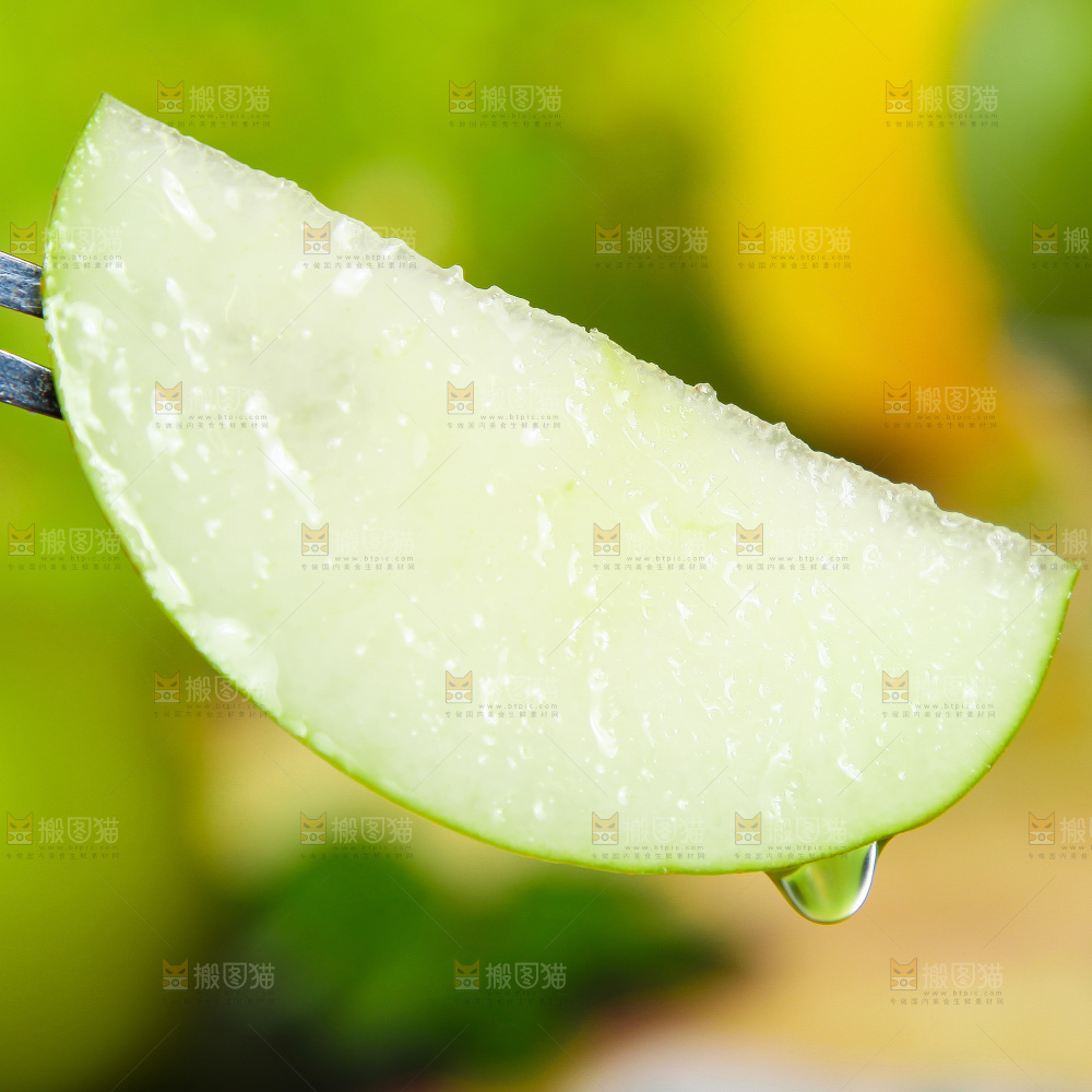 浅底上的青冠梨