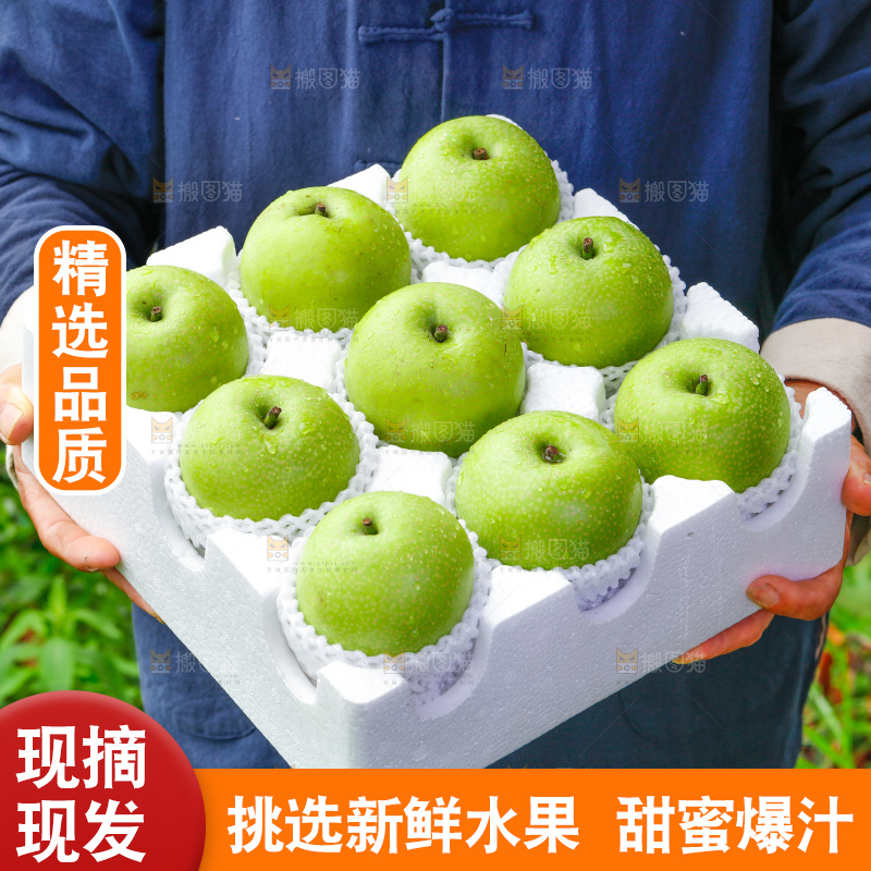 手里拿着青冠梨