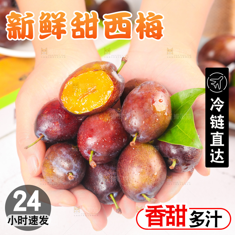 浅底上的西梅