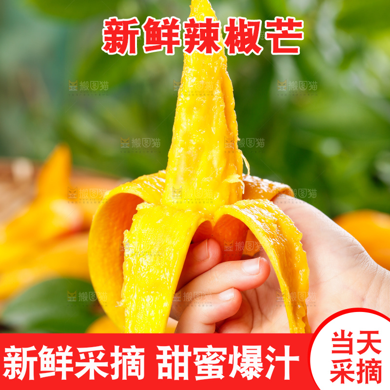 浅底上的辣椒芒