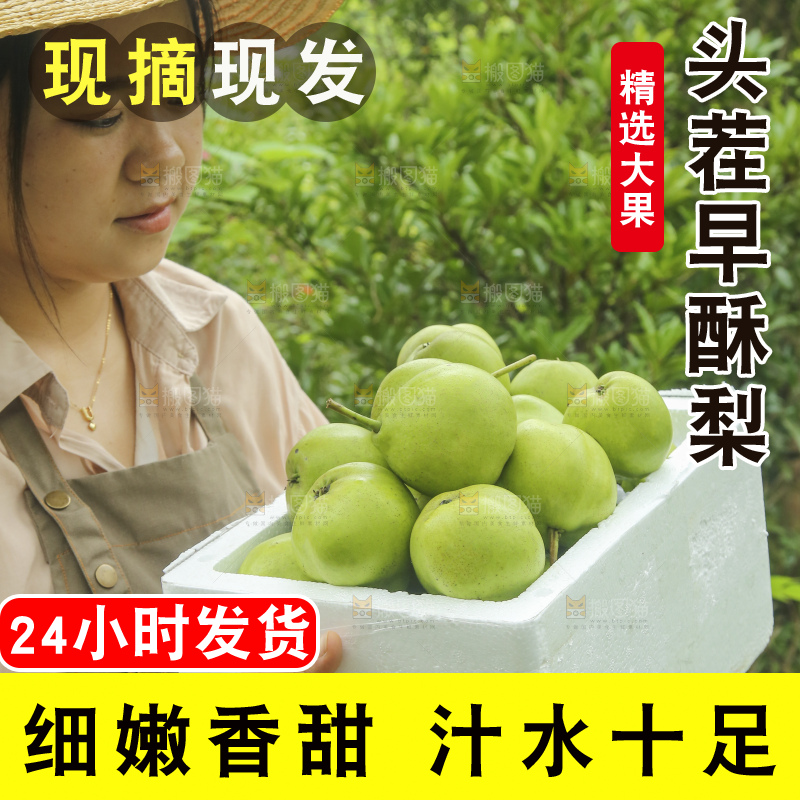 手里拿着早酥梨