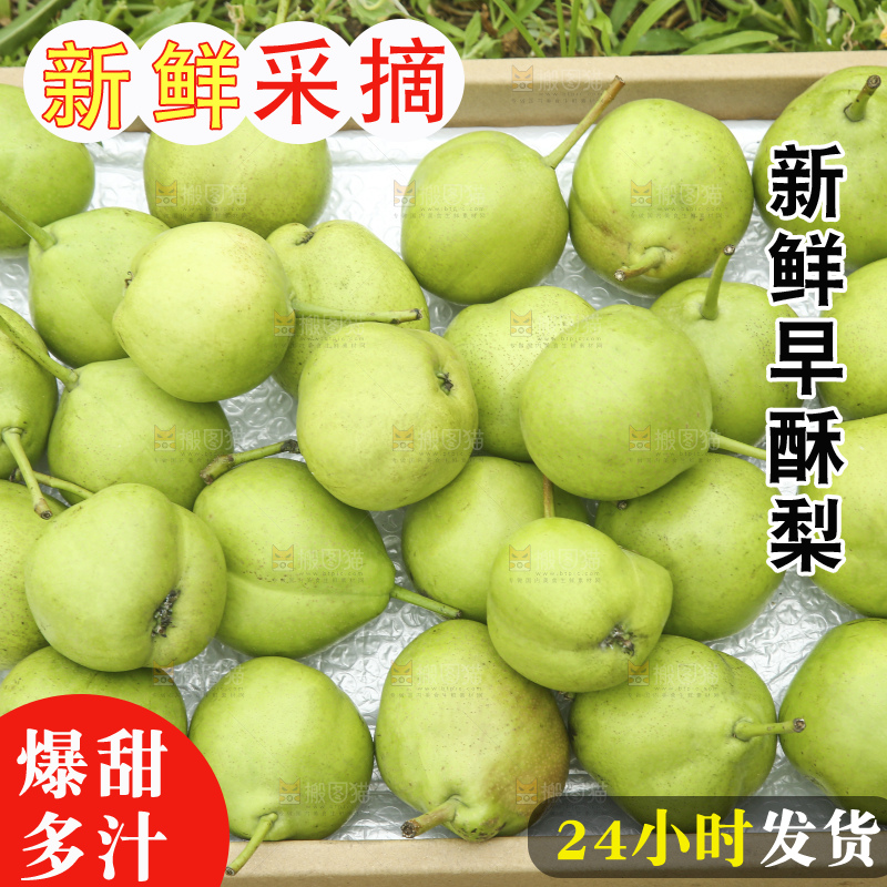 手里拿着早酥梨