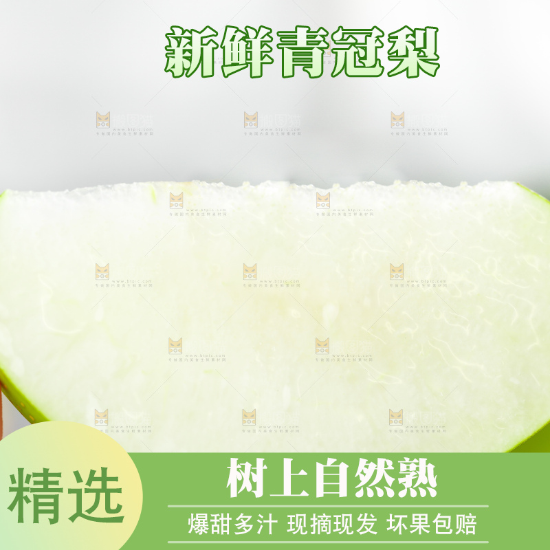 浅底上的青冠梨