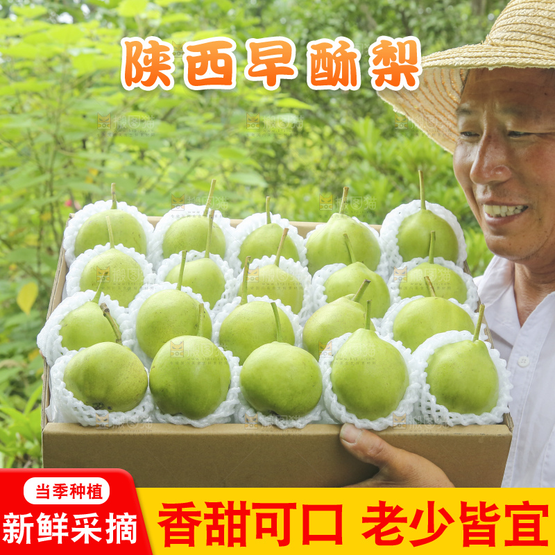 手里拿着早酥梨