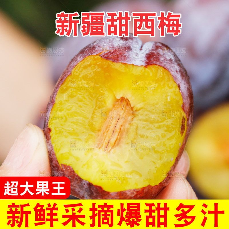 浅底上的西梅