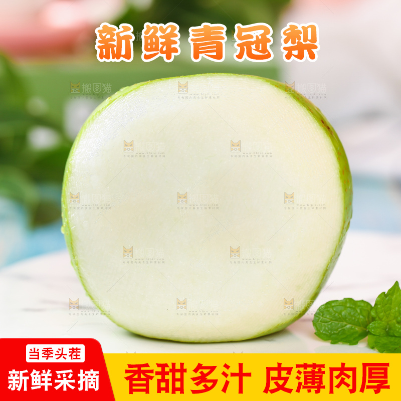 浅底上的青冠梨