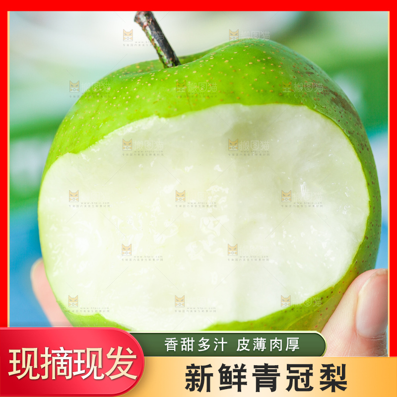 浅底上的青冠梨