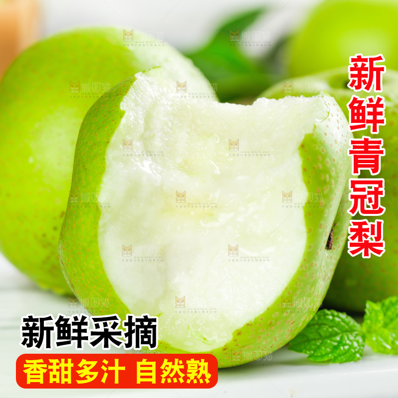 浅底上的青冠梨