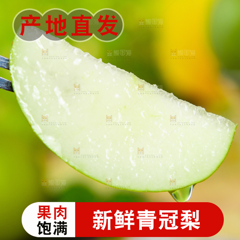 浅底上的青冠梨