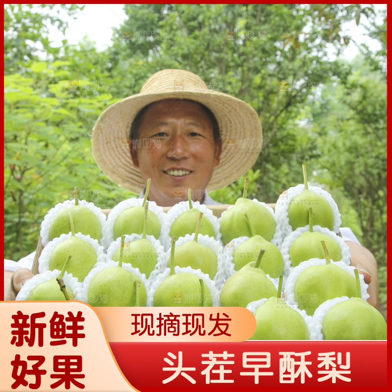 手里拿着早酥梨