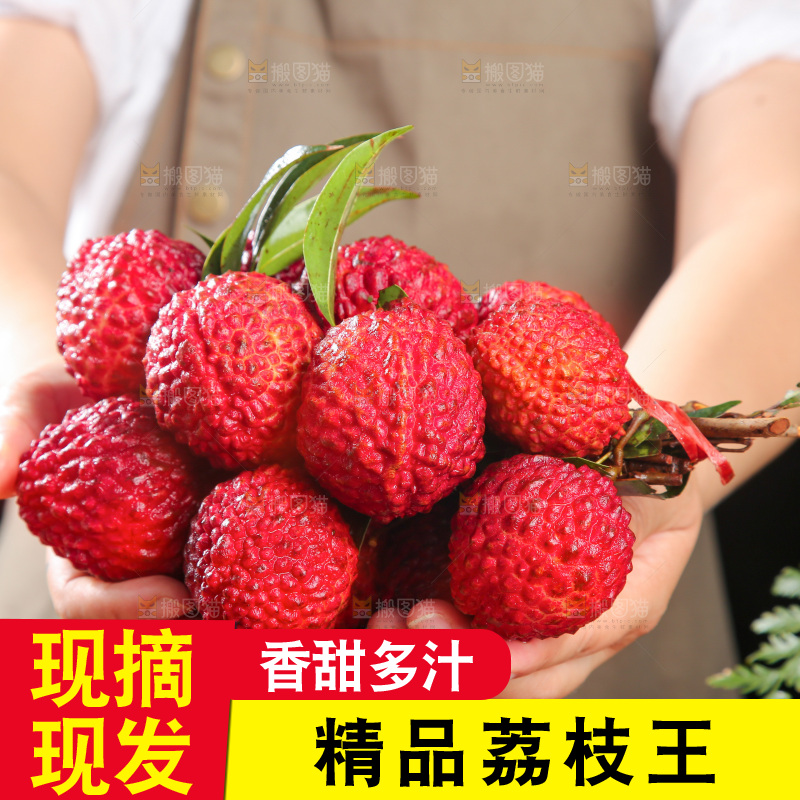 深底上的荔枝王