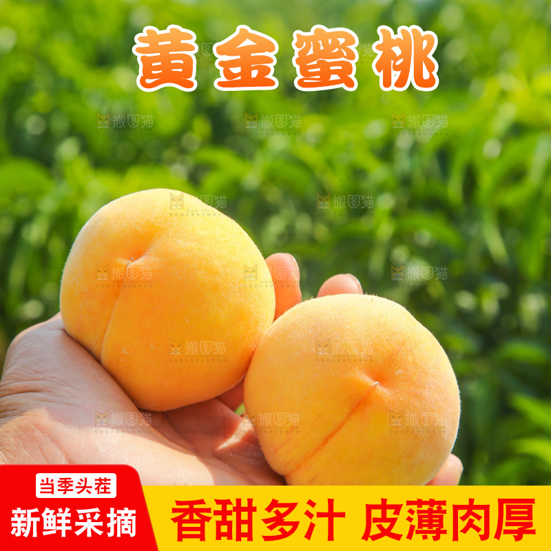 手里拿着黄蜜桃